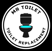 toilet replacement in Winnipeg by Mr Toilet